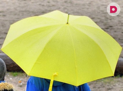 Яркий зонтик – спасение от ненастья