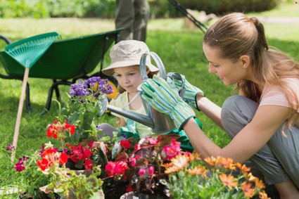 Флорариум: оформляем мини-сад своими руками
