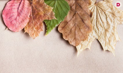 Мастер-класс от Таши Строгой: Коллаж из засушенных листьев