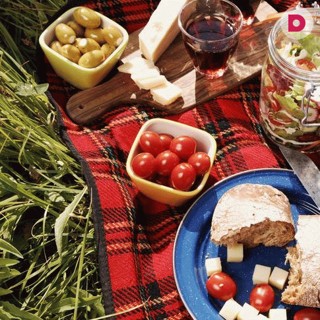 Закуски на пикник - подборка простых оригинальных рецептов