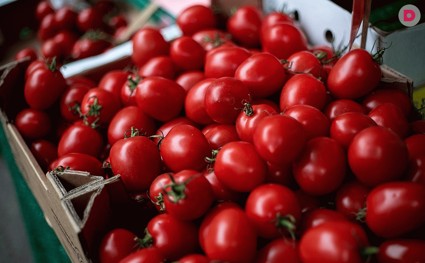 Как хранить помидоры: полезные советы