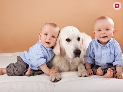 Собака и маленький ребенок: техника безопасности