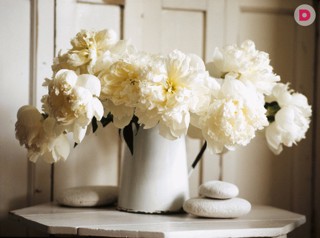 Цветы и ваза – стильная пара – Цветы – Домашний