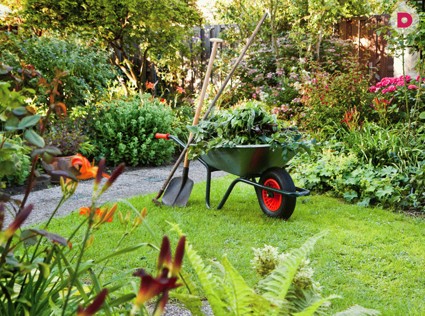 6 способов сделать маленький садовый участок визуально больше