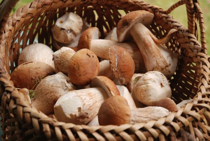 Сезон грибов: 5 рецептов из журнала Джейми Оливера 