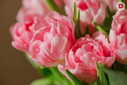 Цветочная композиция из тюльпанов