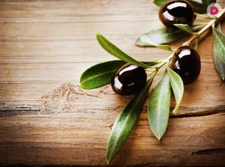 Увлажняющий крем для лица на оливковом масле