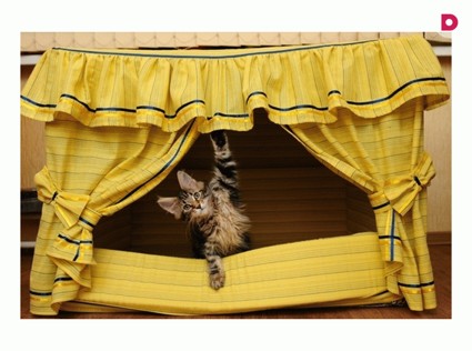 17 лучших примеров домиков для кошек на лето