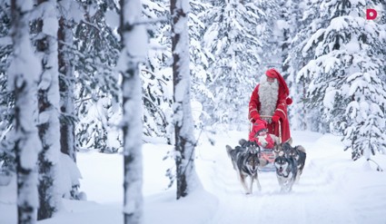 Лапландия: ягоды на снегу и настоящая финская корона
